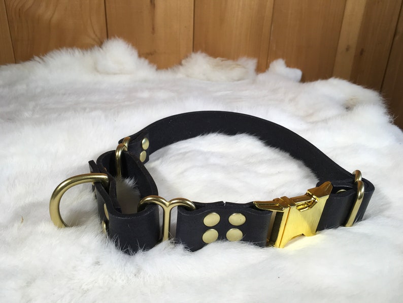 Pu&ograve; includere: Un collare per cani in pelle nera con finiture color oro, tra cui una fibbia, un anello a D e rivetti. Il collare &egrave; posto su uno sfondo bianco e soffice, con uno sfondo in legno.