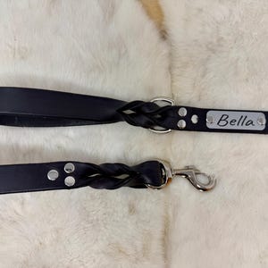 Personalized Leather Dog Leash With Optional Name plate (Multiple Leather & Metal Colors) image 15