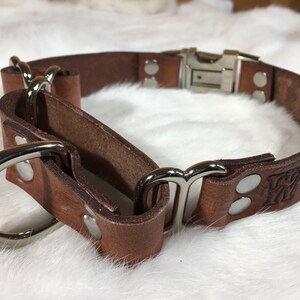 Pu&ograve; includere: Un collare per cani in pelle marrone con fibbia e anello a D in metallo argentato. Il collare presenta dettagli in rilievo ed &egrave; fissato con rivetti argentati. Progettato per cani di taglia media e grande.