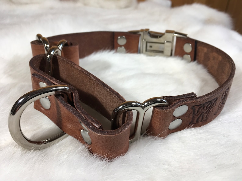 Pu&ograve; includere: Un collare per cani in pelle marrone con fibbia e anello a D in metallo argentato. Il collare presenta dettagli in rilievo ed &egrave; fissato con rivetti argentati. Progettato per cani di taglia media e grande.