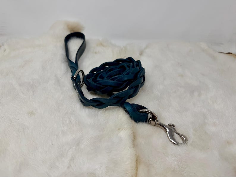 Braided, Personalized Leather Dog Leash With Optional Name plate (Multiple Leather & Metal Colors) image 11