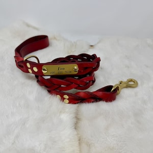 Braided, Personalized Leather Dog Leash With Optional Name plate (Multiple Leather & Metal Colors) image 10