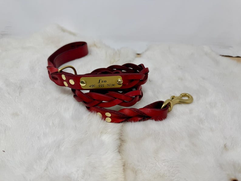 Braided, Personalized Leather Dog Leash With Optional Name plate (Multiple Leather & Metal Colors) image 10