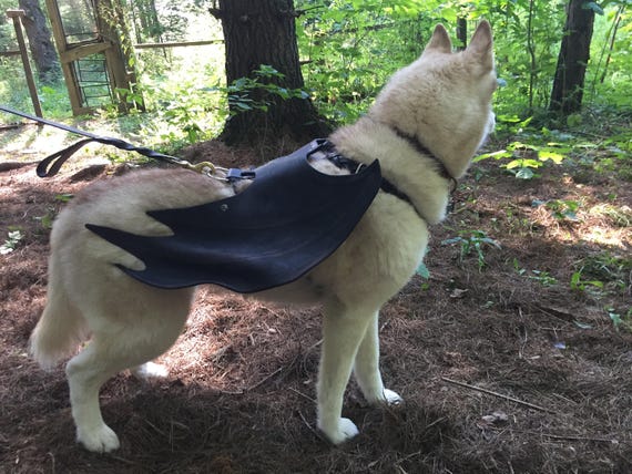 bat wing dog harness