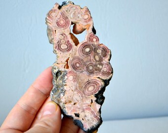 Big Rhodochrosite Stalactite Slab from Argentina * Unique *