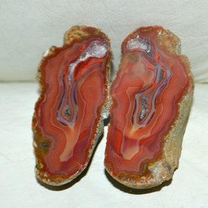May include: Two halves of a geode with red, orange, and white banding. The geode is cut in half and shows the internal crystal structure.