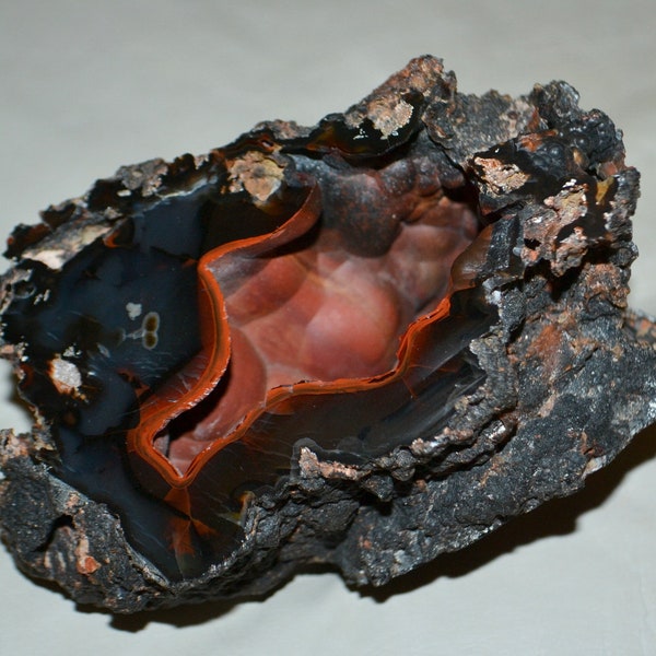 Botryoidal Crater Agate Red Fox Orellanita from Patagonia Argentina rare