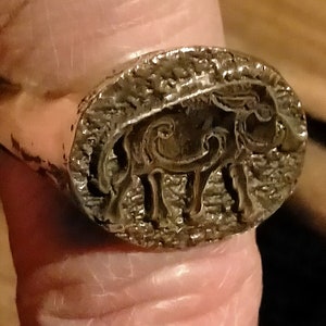 Celtic boar (single piece, specify the size)