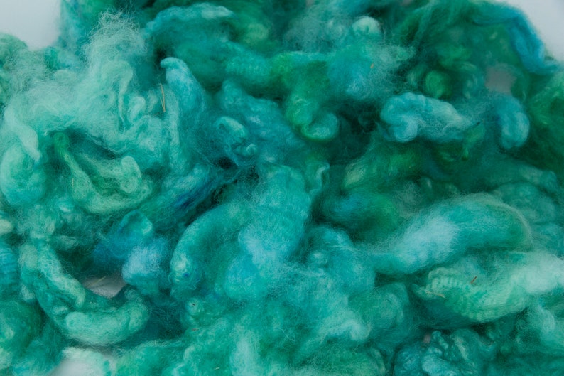 Wool Locks Dyed Wool Locks Green Dyed Wool Sea Foam Color Wool Dyed Corriedale Sea Foam Locks Blue Dyed Wool Corriedale Wool