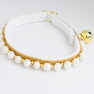 May include: A white cat collar with a gold leather band and a row of white pearl beads. A gold bell hangs from the collar.