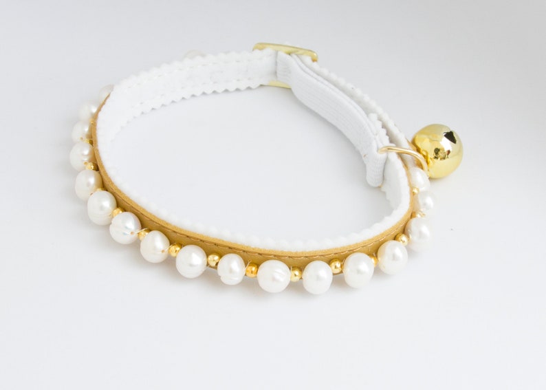 May include: A white cat collar with a gold leather band and a row of white pearl beads. A gold bell hangs from the collar.