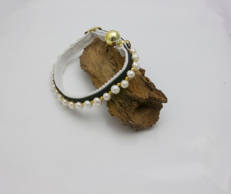 May include: A black and white cat collar with a row of white pearls and a gold bell.