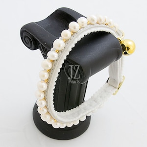 May include: White cat collar with a row of white pearls and a gold bell. The collar is made of white fabric and has a white elastic band.