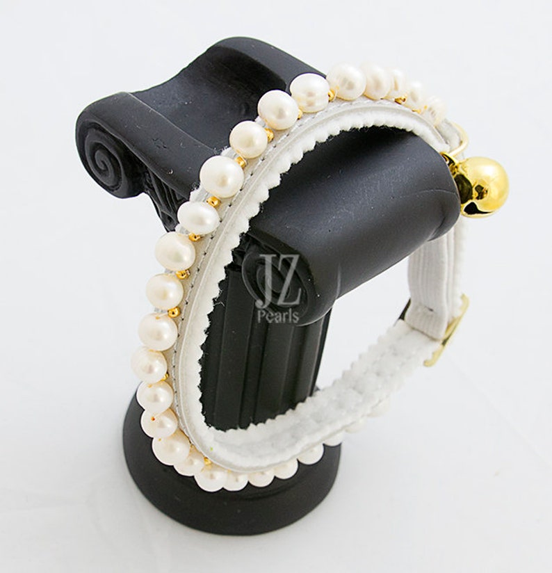 May include: White cat collar with a row of white pearls and a gold bell. The collar is made of white fabric and has a white elastic band.