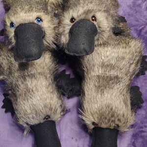 Platypus for adoption Soft and plush, ready to cuddle image 3