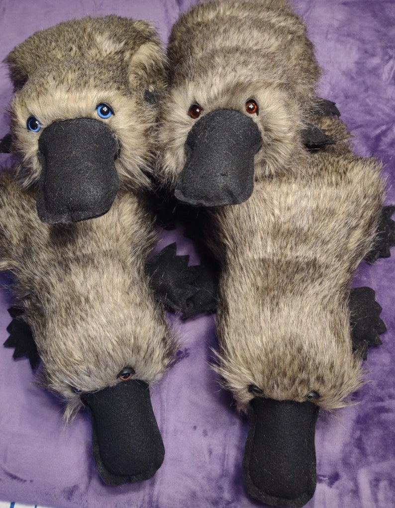 Platypus for adoption Soft and plush, ready to cuddle image 3
