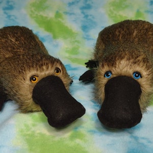 Platypus for adoption Soft and plush, ready to cuddle image 1