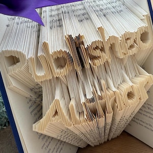 Gepubliceerde auteur, gevouwen boekkunst, cadeau nieuw boek release