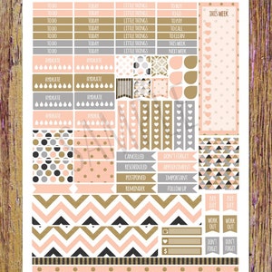 Peach Gold Digital Printable Planner Stickers Weekly Stickers | Etsy