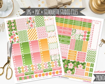 May include: Printable planner stickers with a floral theme. The stickers feature a variety of designs, including flowers, hearts, and geometric patterns. The stickers are in shades of pink, green, and orange.