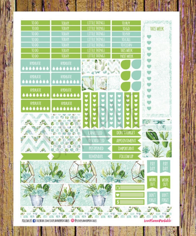 Cactus Succulents Digital Printable Planner Stickers Weekly - Etsy