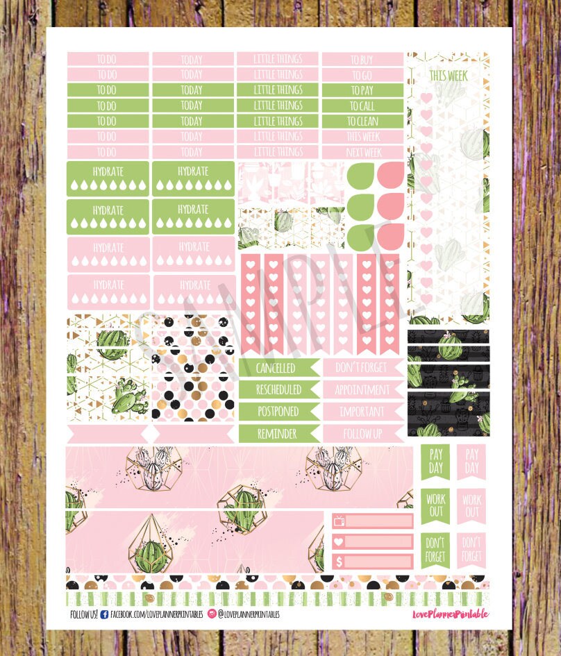 Cactus Succulents Printable Planner Stickers Weekly Stickers Digital ...