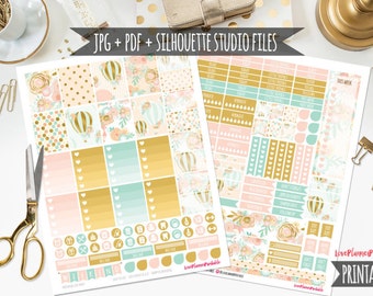 Pink Gold Hot Balloon Digital Printable Planner Stickers Weekly Stickers for Erin Condren Planner Digital Planner Stickers Floral Planner