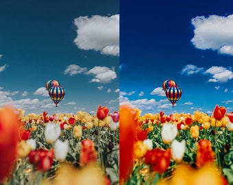 Vibrant Colours Photoshop Action, Summer Photoshop Action, colour pop Photoshop Action.