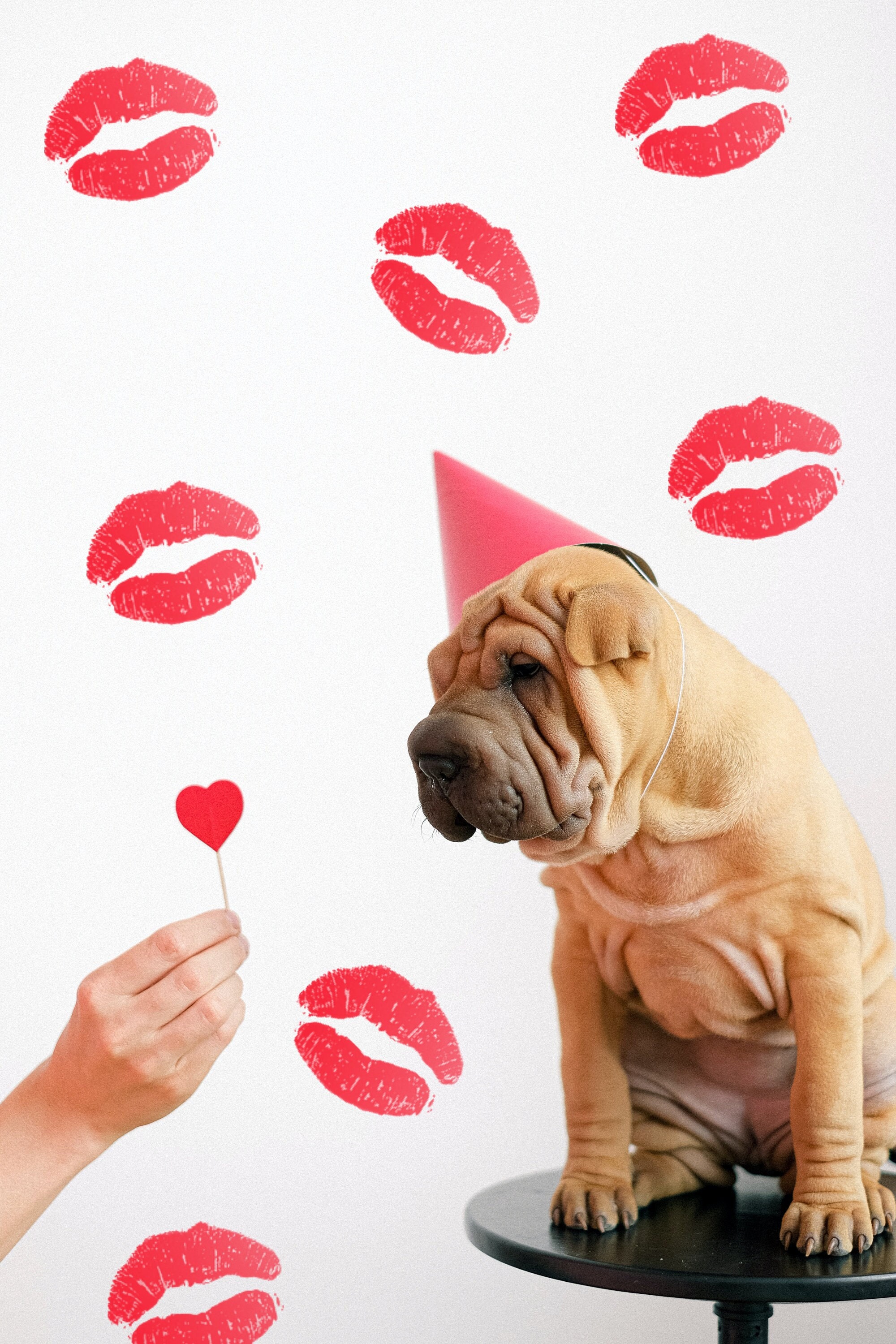 Kissing Lip Stamp Brush Lips Brush Kiss Etsy