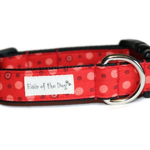 Red with Dots Dog Collar,red dog collar,dog collar,boy dog collar,girl dog collar,fun dog collar,cute dog collar,soft dog collar