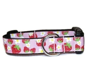 Strawberry dog collar,summer dog collar,strawberry,handmade dog collar,boy dog collar,girl dog collar,pink dog collar,spring dog collar