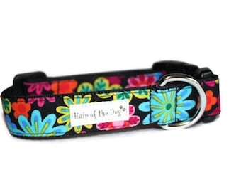 fun dog collars and leashes