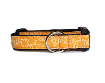 Harvest Pumpkin dog collar,dog collar,fall dog collar,orange dog collar,pumpkin dog collar,hairofthedogcollars,soft collar for dogs
