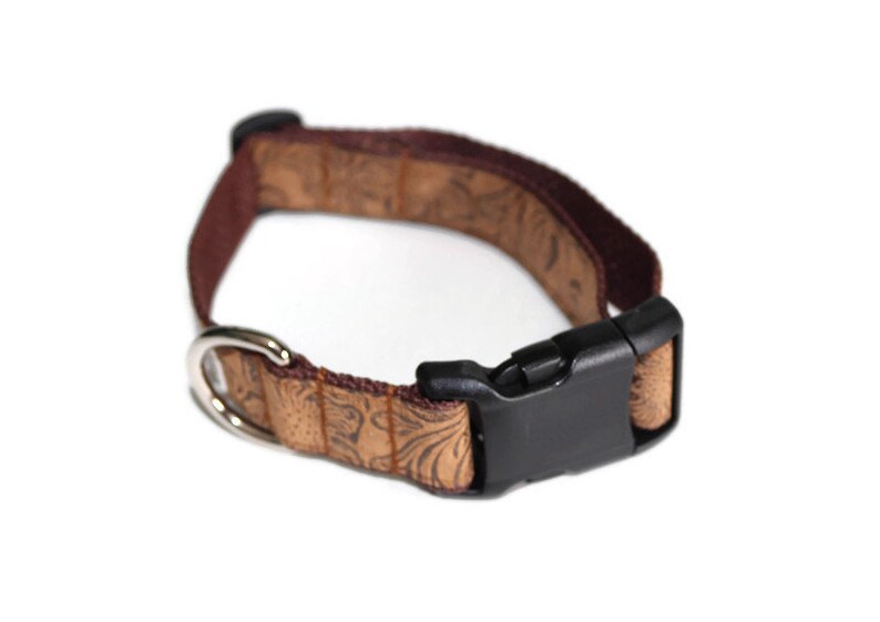 May include: A brown dog collar with a patterned design and a black plastic buckle.