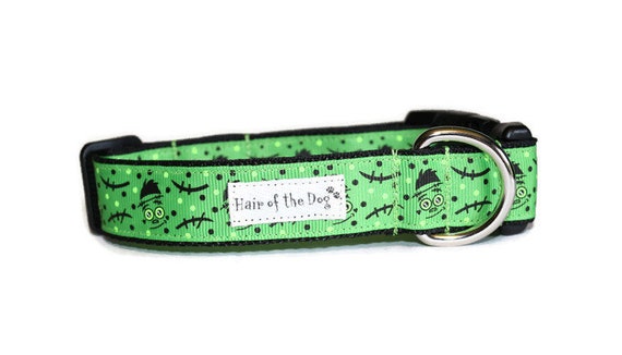 frankenstein dog collar