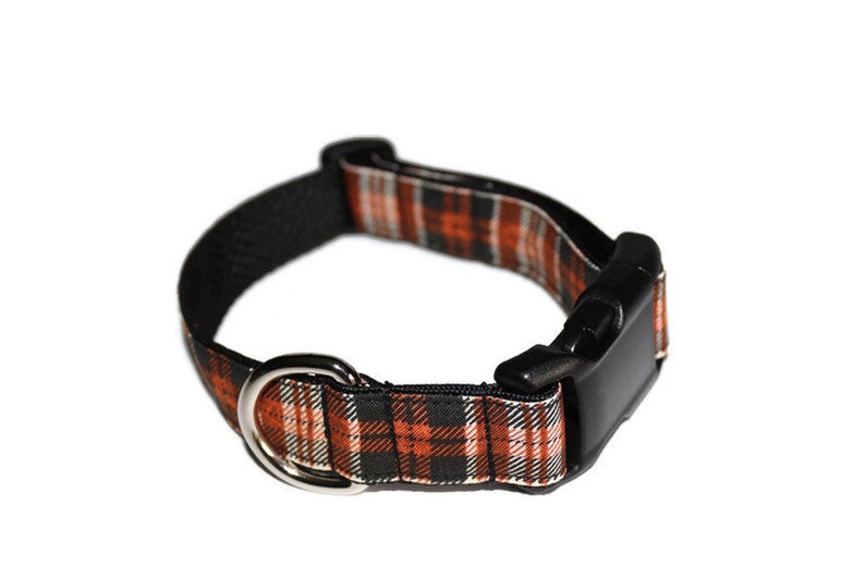May include: A black and orange plaid dog collar with a black plastic buckle and a silver metal D-ring.