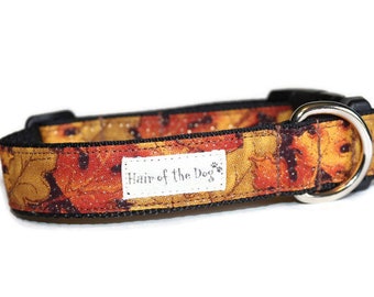 Sparkle Fall Leaves DoG Collar,dog collar,leaves dog collar,fall dog collar,colorful dog collar,boy dog collar,girl dog collar,fun dogcollar