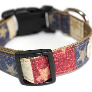 May include: A brown, red, white, and blue dog collar with a distressed American flag pattern. The collar has a black plastic buckle and a silver D-ring.