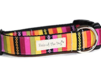 Colorful Party Stripe DoG Collar,dog collar,striped dog collar,colorful dog collar,fun dog collar,cute dog collar,hairofthedogcollars