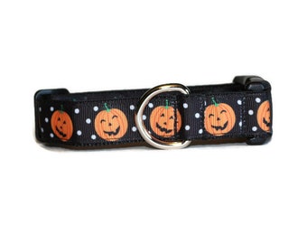 Punkin and Polka Dot DoG Collar,dog collar,Halloween dog collar,fun dog collar,boy dog collar,girl dog collar,cute dog collar