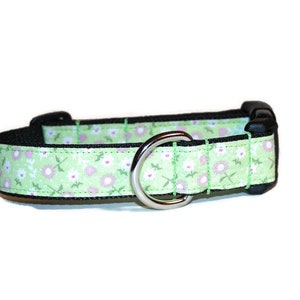 Daisies on Mint dog collar,flower dog collar,girl dog collar,green dog collar,cute dog collar,summer dog collar,daisy dog collar