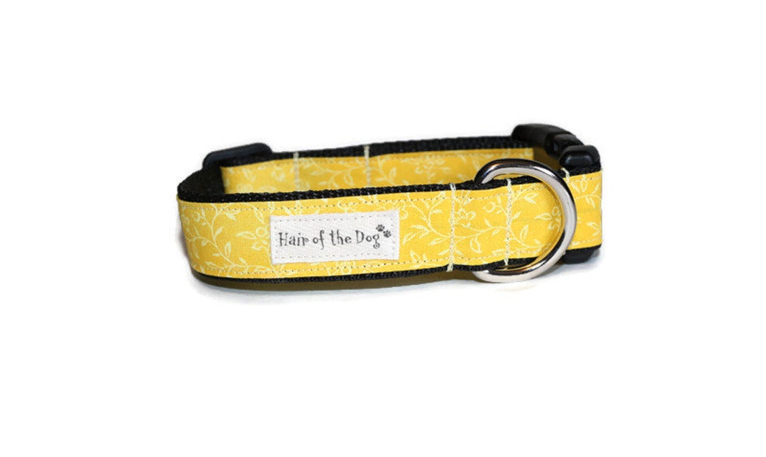 Sunny Yellow Dog Collar,dog Collar,yellow Dog Collar,fun Dog Collar