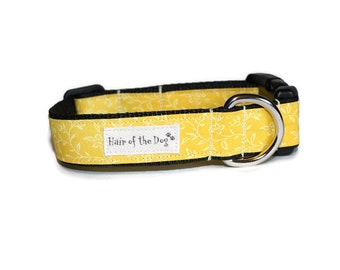 Sunny Yellow DoG Collar,dog collar,yellow dog collar,fun dog collar,cute dog collar,boy dog collar,girl dog collar,hairofthedogcollars