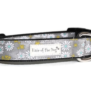 Cute Daisy on Grey DoG Collar,daisy dog collar,fun dog collar,flower dog collar,dog collar,cute dog collar,girl dog collar