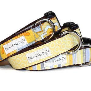 May include: Three yellow and white patterned dog collars with brown trim and silver metal D-rings. Each collar has the text "Hair of the Dog" printed on it.