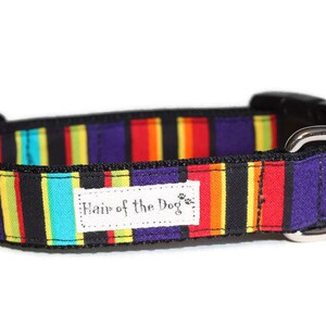 Celebration Stripe DoG Collar,handmade dog collar,striped dog collar,fun dog collar,cute dog collar,colorful dog collar,dog collar