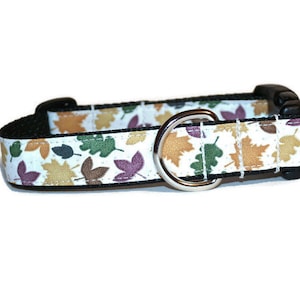 Autumn Trail dog collar,fall dog collar,leaf dog collar,boy dog collar,girl dog collar,autumn dog collar,colorful leaves dog collar