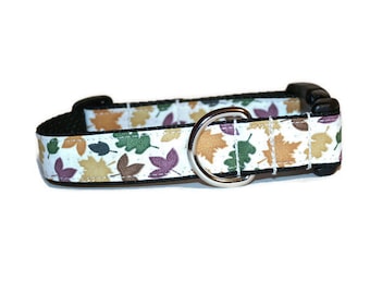 Autumn Trail dog collar,fall dog collar,leaf dog collar,boy dog collar,girl dog collar,autumn dog collar,colorful leaves dog collar