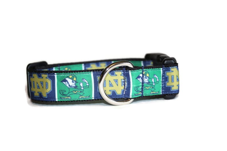 May include: A blue, green, and gold dog collar with a Notre Dame Fighting Irish logo. The collar has a silver D-ring.