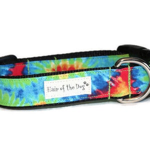 May include: A green, blue, red, and yellow tie-dye dog collar with black webbing and a silver D-ring. The collar has the text "Hair of the Dog" printed on it.